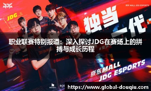 职业联赛特别报道：深入探讨JDG在赛场上的拼搏与成长历程
